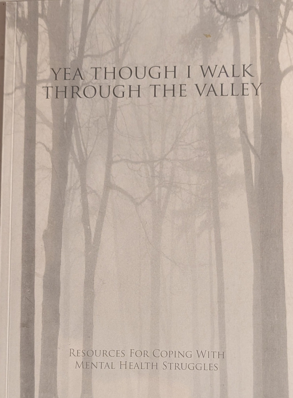 Yea Though I Walk Through the Valley