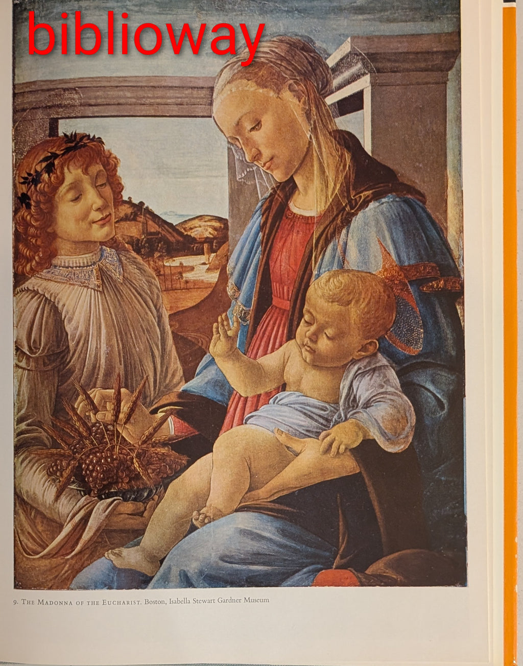 Botticelli: Fifty Colour Plates – 1981 Phaidon Art Book | Renaissance Masterpieces | Large Format Illustrated Hardcover
