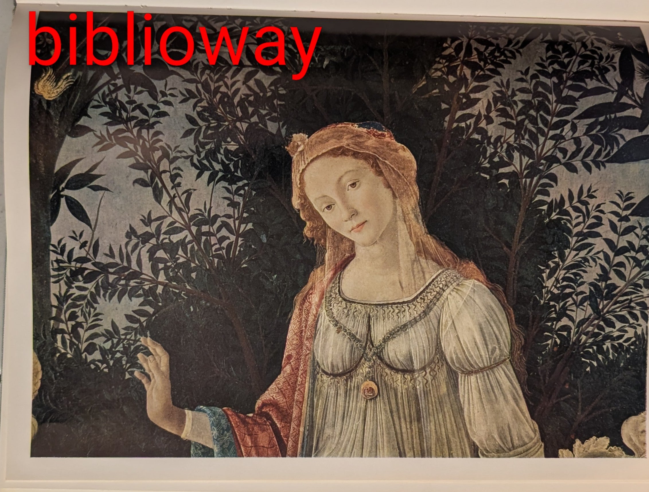 Botticelli: Fifty Colour Plates – 1981 Phaidon Art Book | Renaissance Masterpieces | Large Format Illustrated Hardcover
