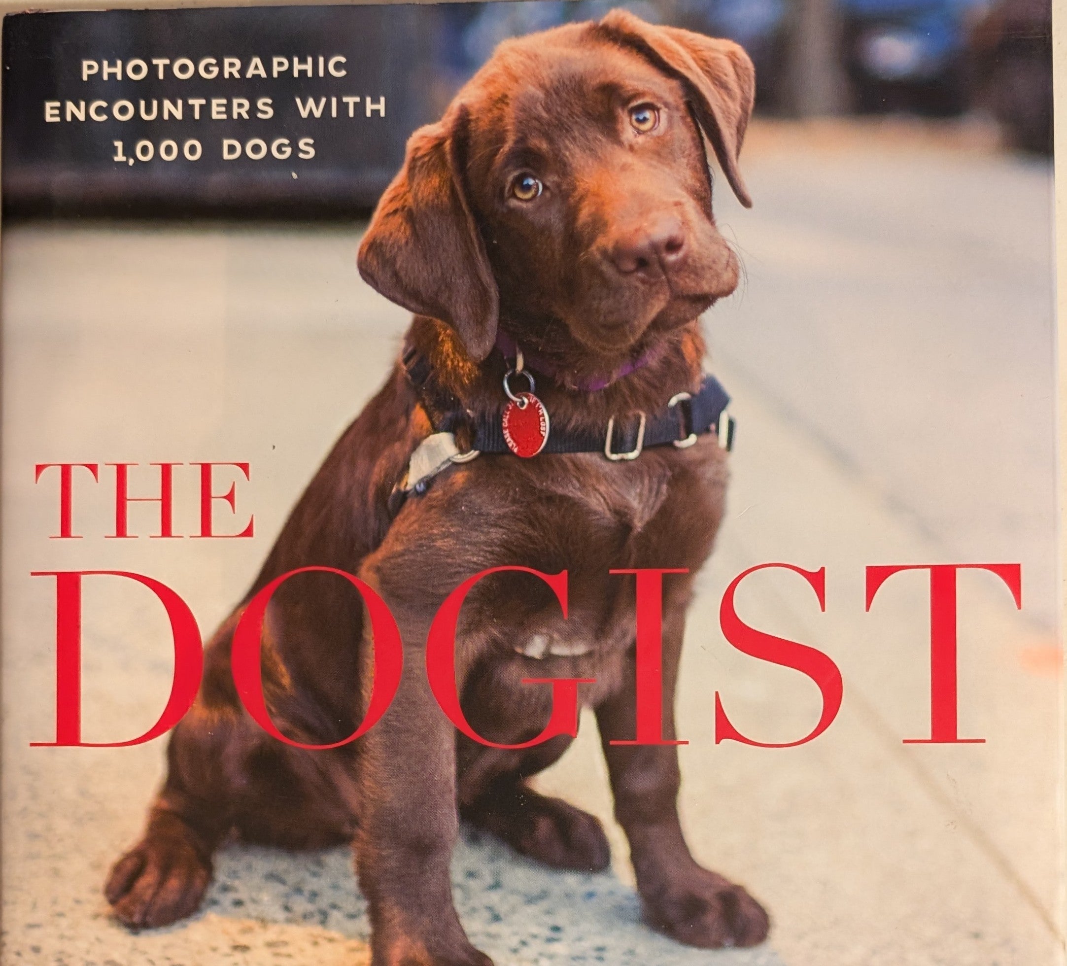 The Dogist: Photographic Encounters with 1,000 Dogs