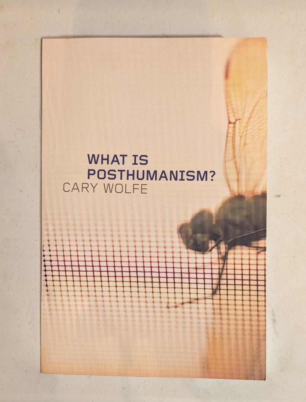 What Is Posthumanism?